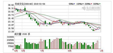 趨勢資產管理曝出最新消息，散戶投資迷霧重重